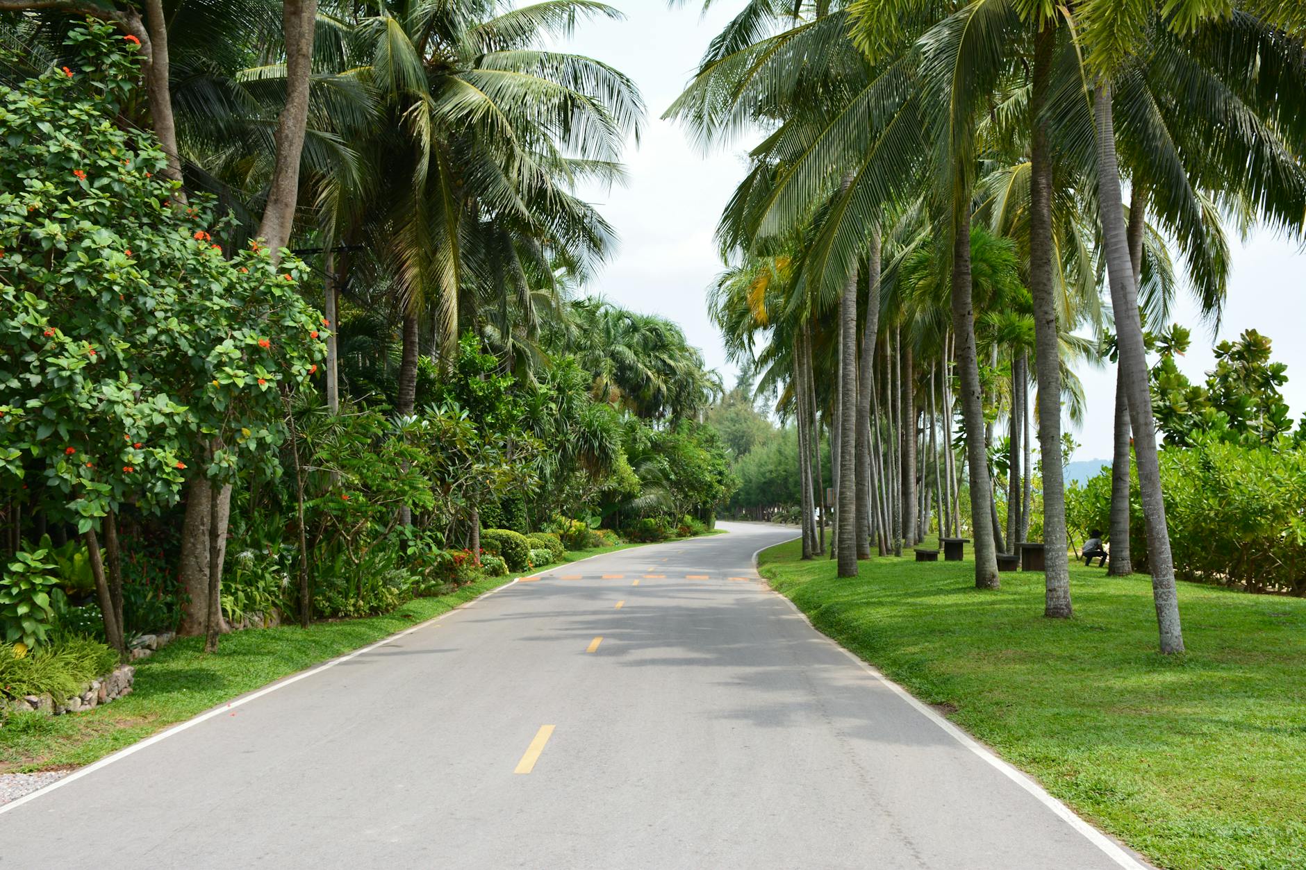 Minh họa chiến thuật và thống kê ghi bàn của đội chủ nhà