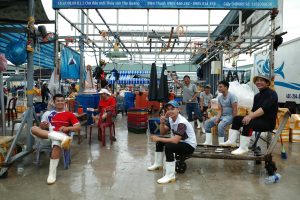 Người chơi sử dụng súng nâng cấp để nhắm cá tầm trung trong game bắn cá