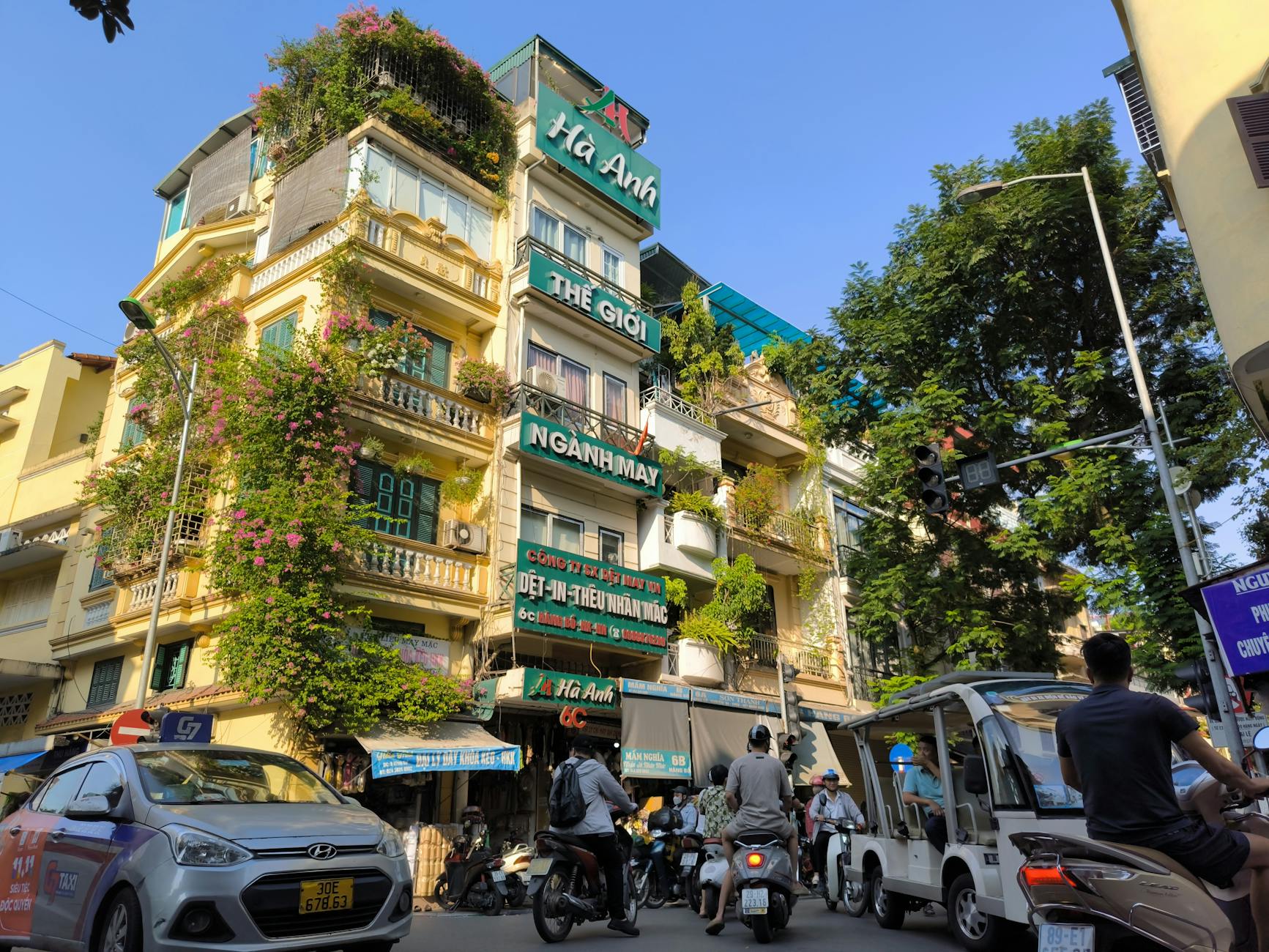 Cặp gà chọi trong sân đấu với góc chụp cận rõ và ánh sáng tự nhiên